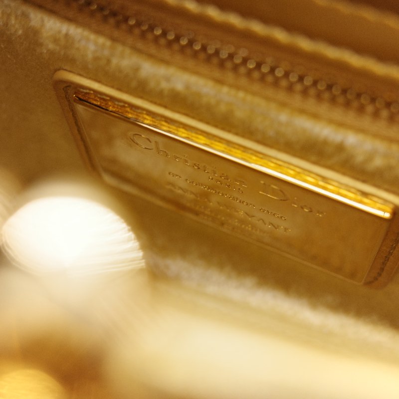 Dior 迪奧Dior Lady Art Anna Weyant 藝術家限量 金色金屬光澤 小羊皮 肩背包 手提包-18