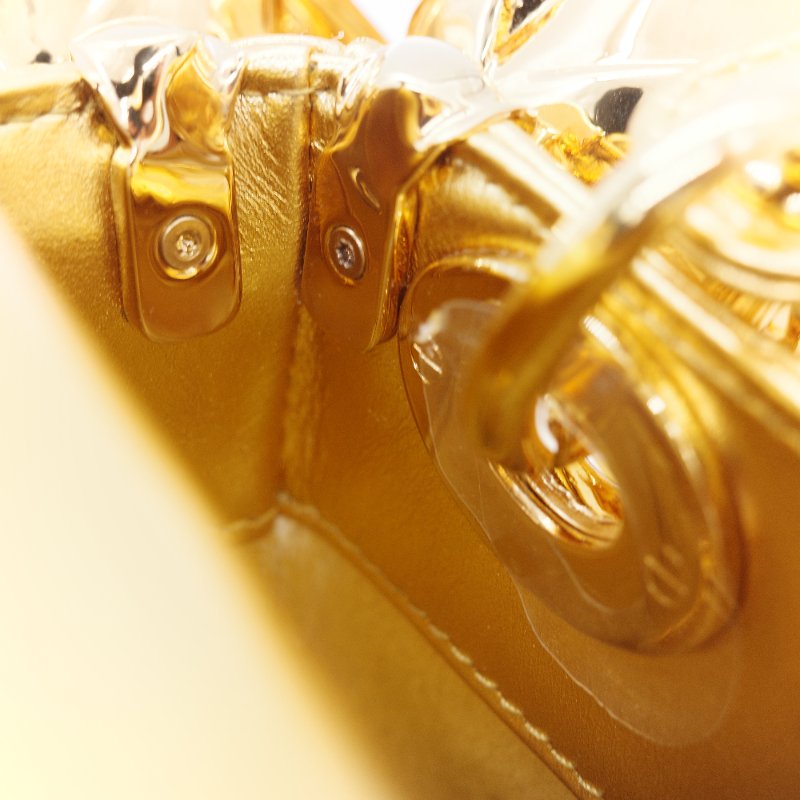 Dior 迪奧Dior Lady Art Anna Weyant 藝術家限量 金色金屬光澤 小羊皮 肩背包 手提包-20