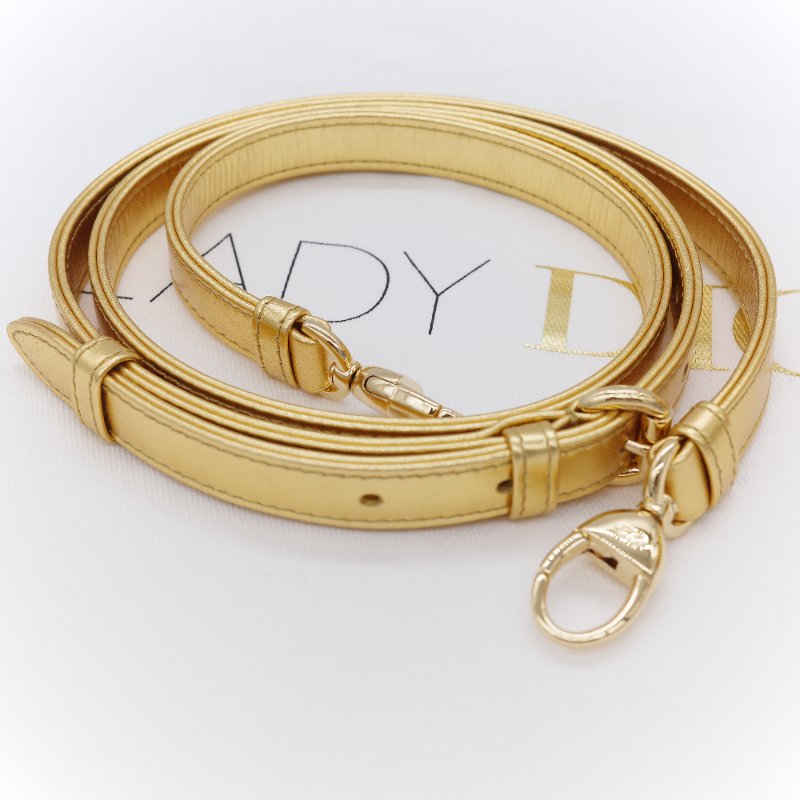 Dior 迪奧Dior Lady Art Anna Weyant 藝術家限量 金色金屬光澤 小羊皮 肩背包 手提包-21