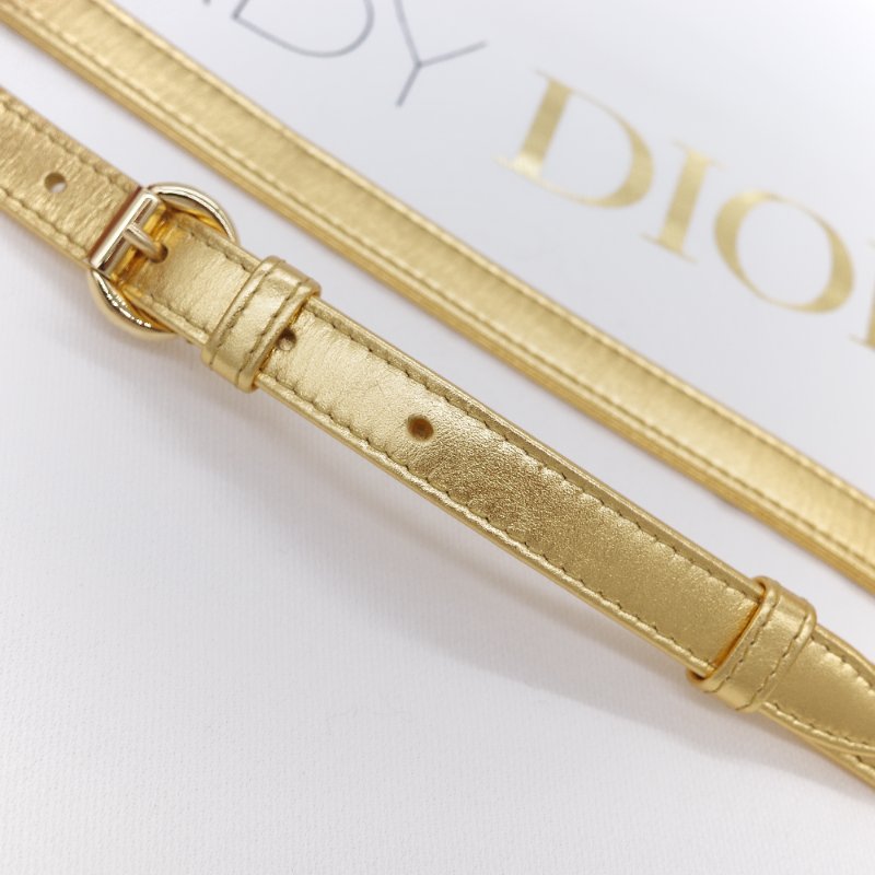 Dior 迪奧Dior Lady Art Anna Weyant 藝術家限量 金色金屬光澤 小羊皮 肩背包 手提包-22