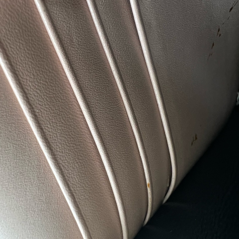 香緹國際精品 827 YSL 流蘇woc 粉金色-10