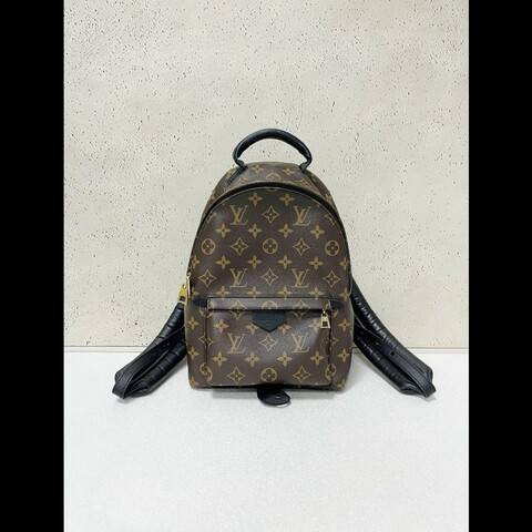 LV backpack 
经典老花 小書包 小號