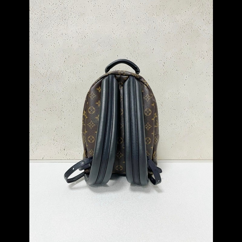 LV backpack 
经典老花 小書包 小號-1