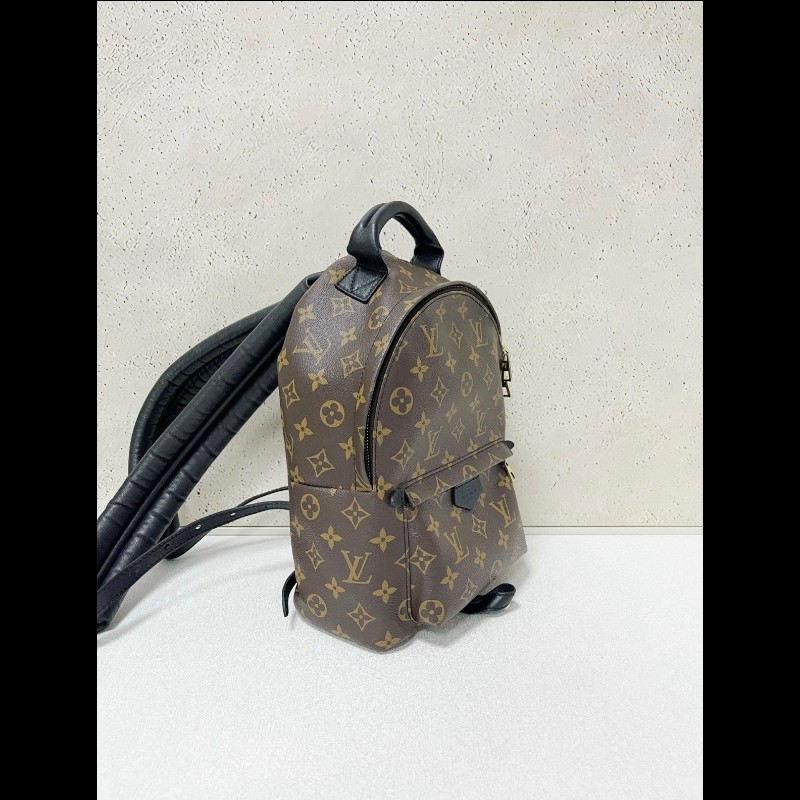 LV backpack 
经典老花 小書包 小號-2