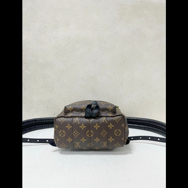 LV backpack 
经典老花 小書包 小號-4
