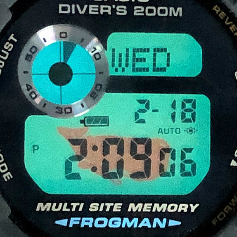 卡西歐 G-SHOCK Frogman Irukuji 2004 強韌太陽能手錶 GW-204K-9，國際版 Iruka Kujira 設計，黑黃配色，數字顯示，Mikunigaoka 專賣店-8