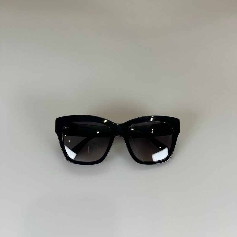 CELINE 金凱旋門logo黑墨鏡-0