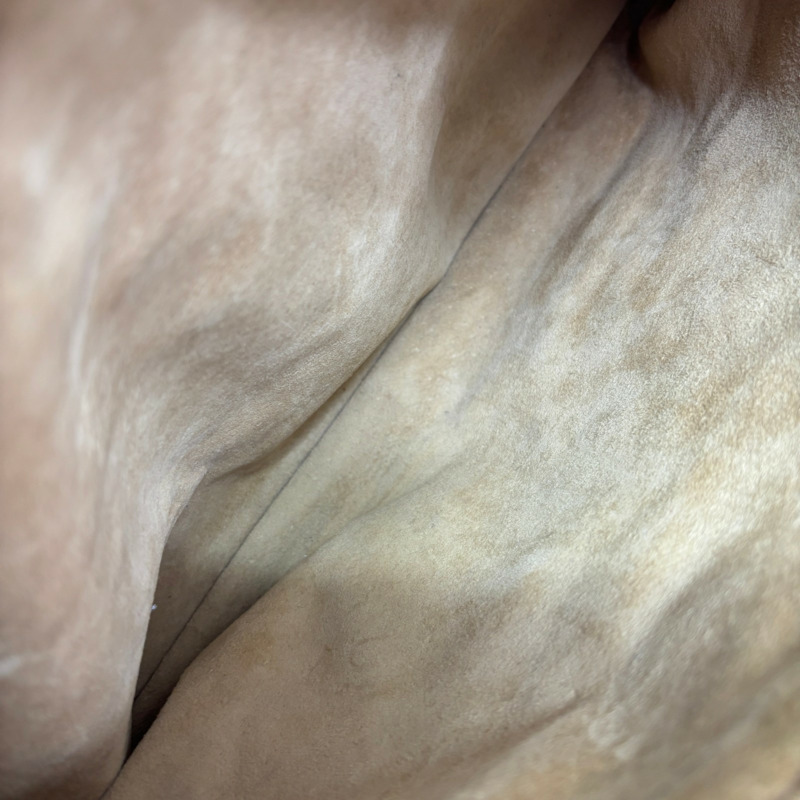 粉紅色 皮革 Boogie 手提包【CELINE 賽琳】 CE00/34-5