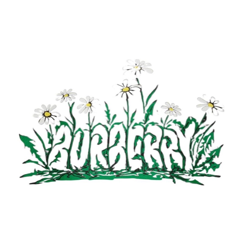 Burberry 女士 雛菊T恤XXS XS S M L碼-1