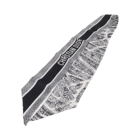 Dior 絲質Scarf絲巾