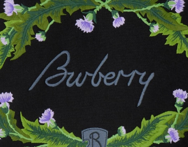 Burberry 女士 徽標連帽衛衣XXS XS S M L碼-1