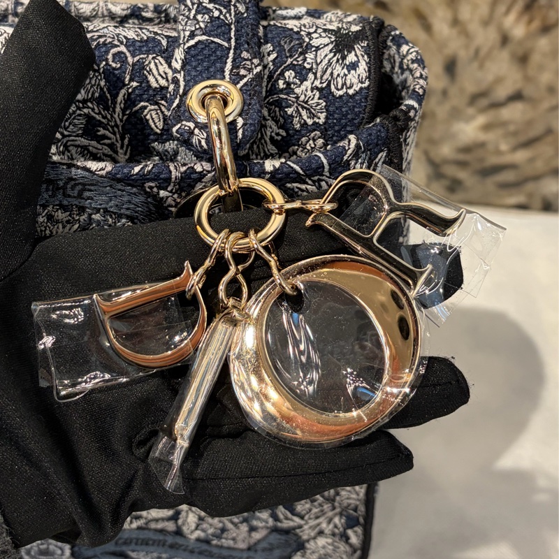 DIOR藍花朵刺繡D-Lite Lady Dior手提二用-7