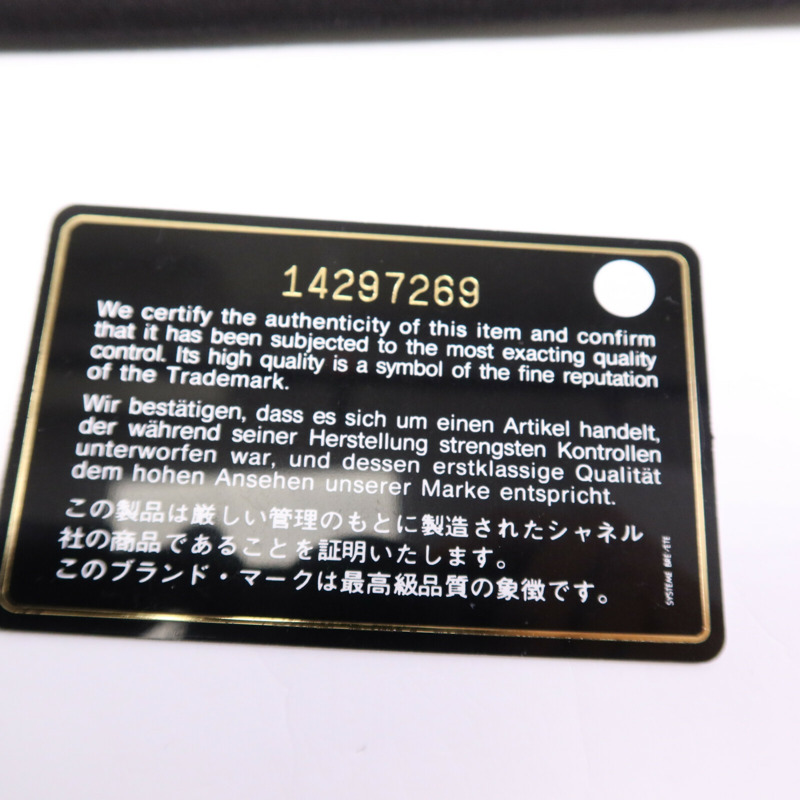 CHANEL 羊皮皮革Hang Bag銀扣手挽袋-14