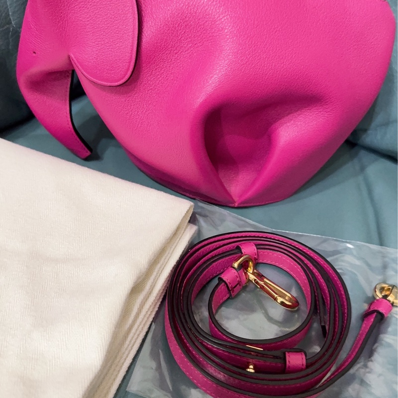 全新LOEWE 經典Elephant 斜背小包-16