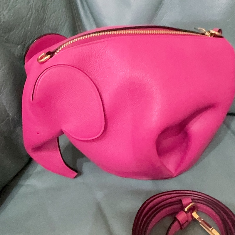全新LOEWE 經典Elephant 斜背小包-18