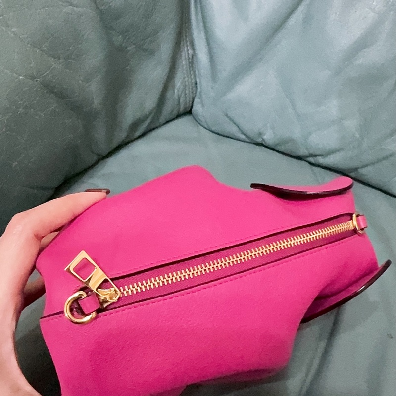 全新LOEWE 經典Elephant 斜背小包-32