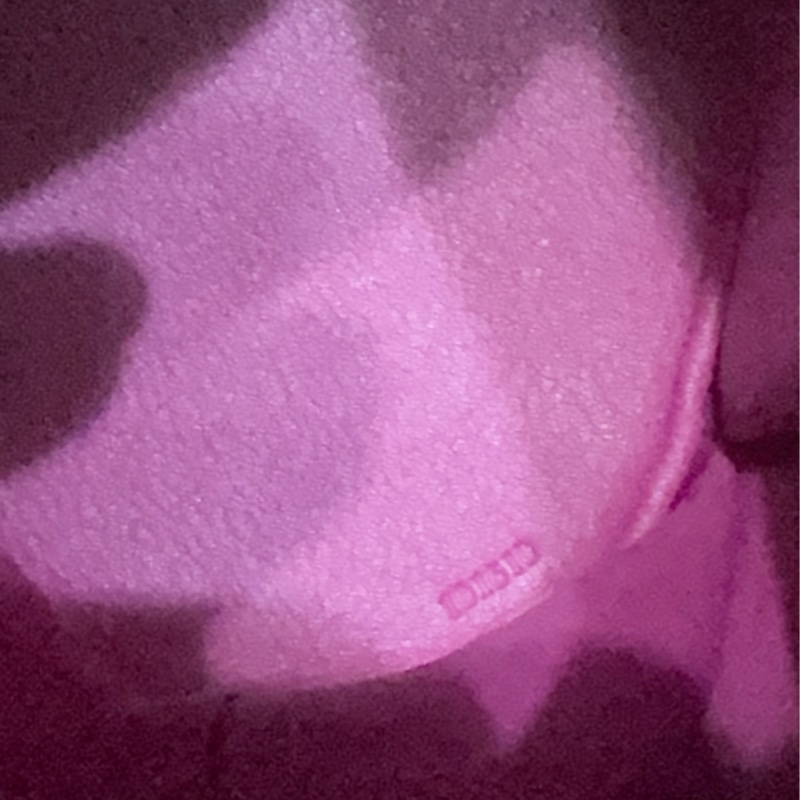 全新LOEWE 經典Elephant 斜背小包-35