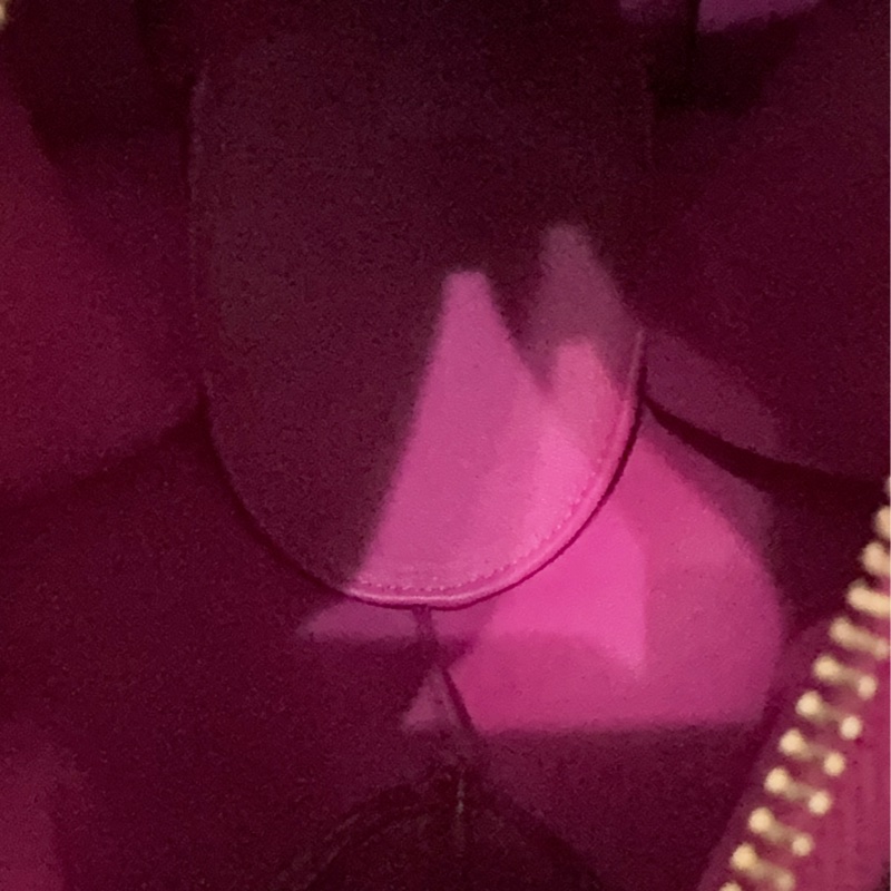 全新LOEWE 經典Elephant 斜背小包-36