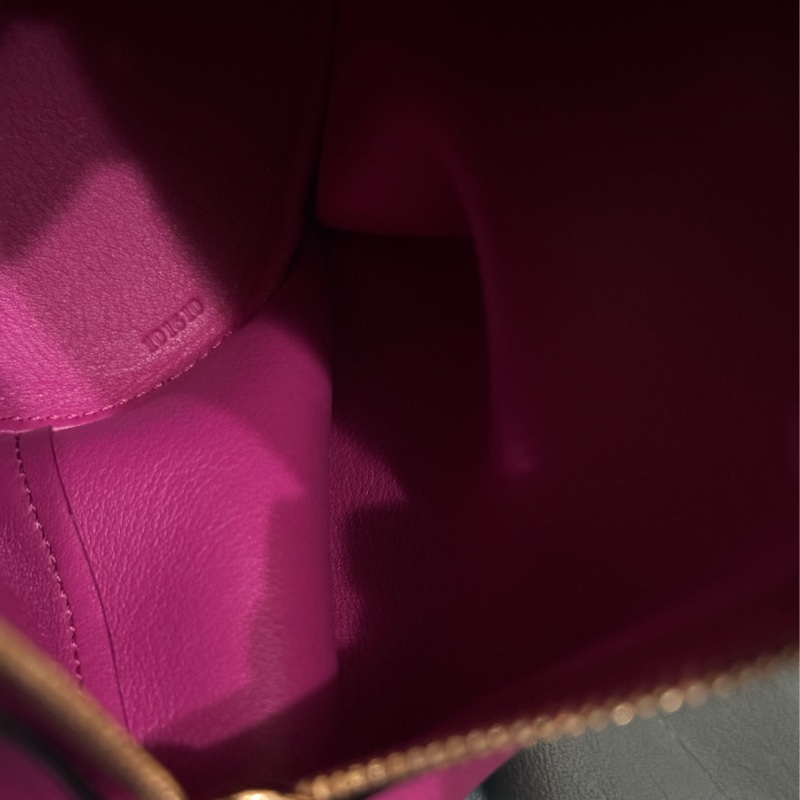 全新LOEWE 經典Elephant 斜背小包-39