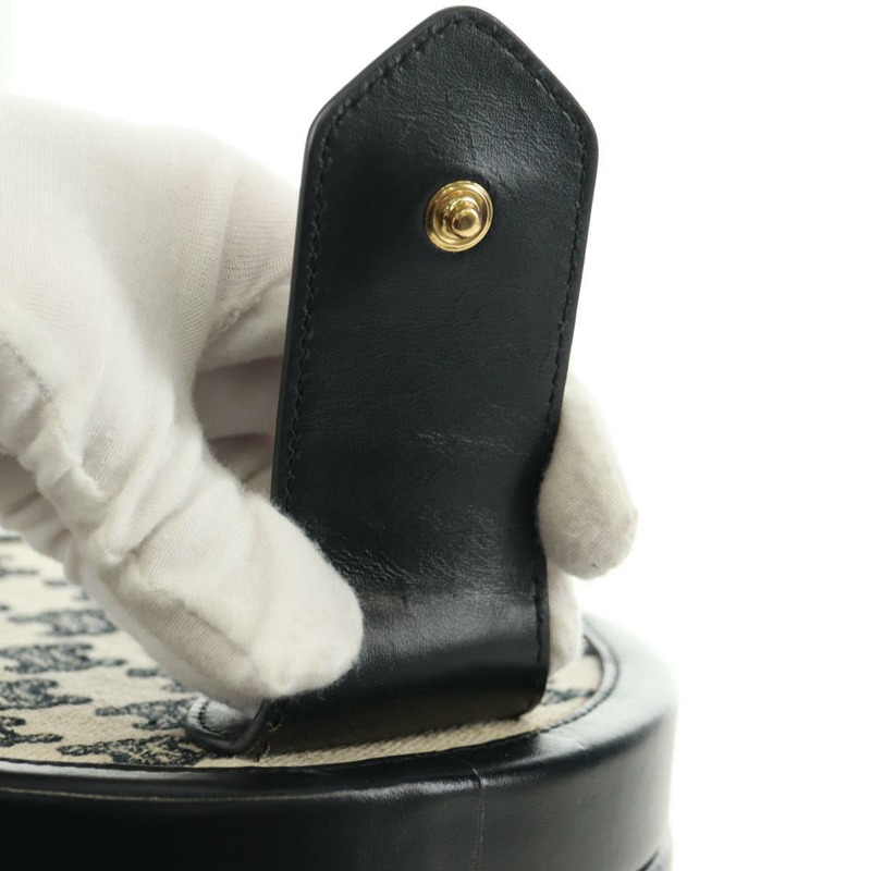 【日本直送】CELINE Triomphe 肩背包,帆布皮革,淺米色,黑色,金色,正品編號 170924M-20