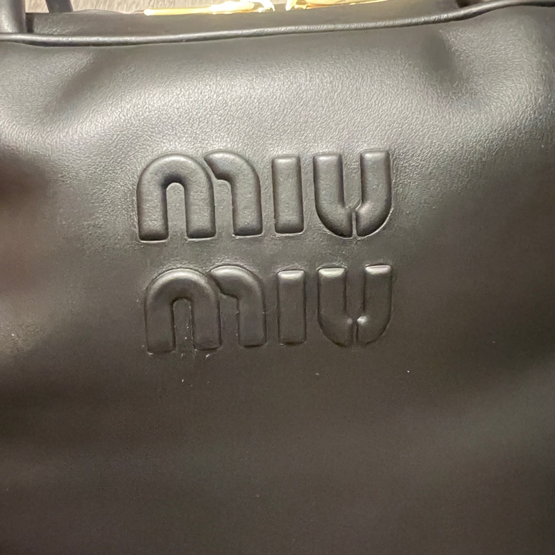 Miu Miu Beau Leather Bag (Large)-9