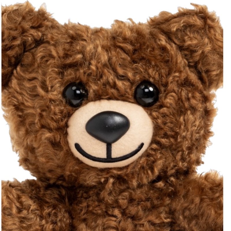 ⏰限時特賣價🌺Moschino 泰迪熊新款公仔包-5