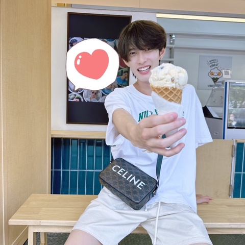 Celine 凱旋門老花相機包22.5*14*4 98新配件塵袋