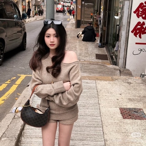 CELINE AVA經典老花滿印豌豆腋下包25*12*7 98新配件塵袋