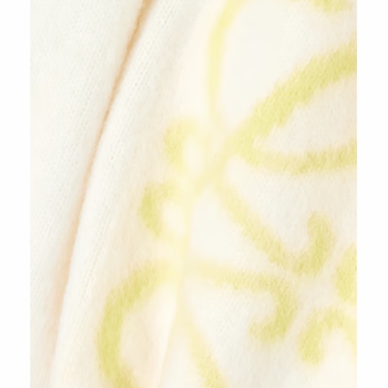 Loewe 女士 短款嵌花羊毛毛衣L碼-3