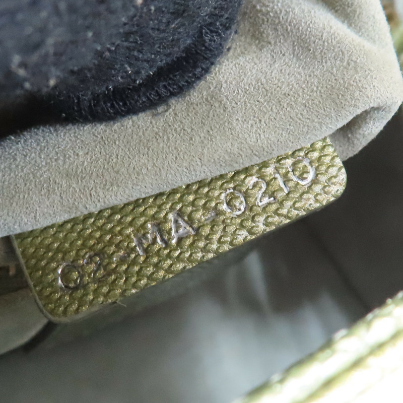 綠色 蜥蜴皮 Lady Dior Mini 兩用包 金扣【Dior 迪奧】 M050OKAR-52HU-8