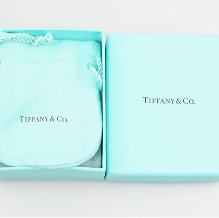 Tiffany 大号项链-12