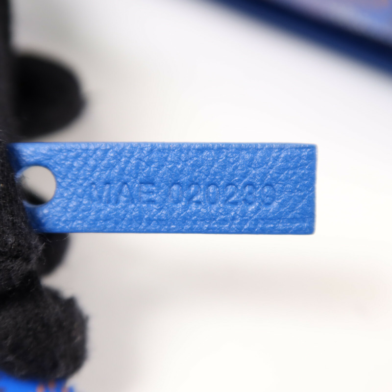 GOYARD 塗層帆布Anjou Mini銀扣手挽袋-6