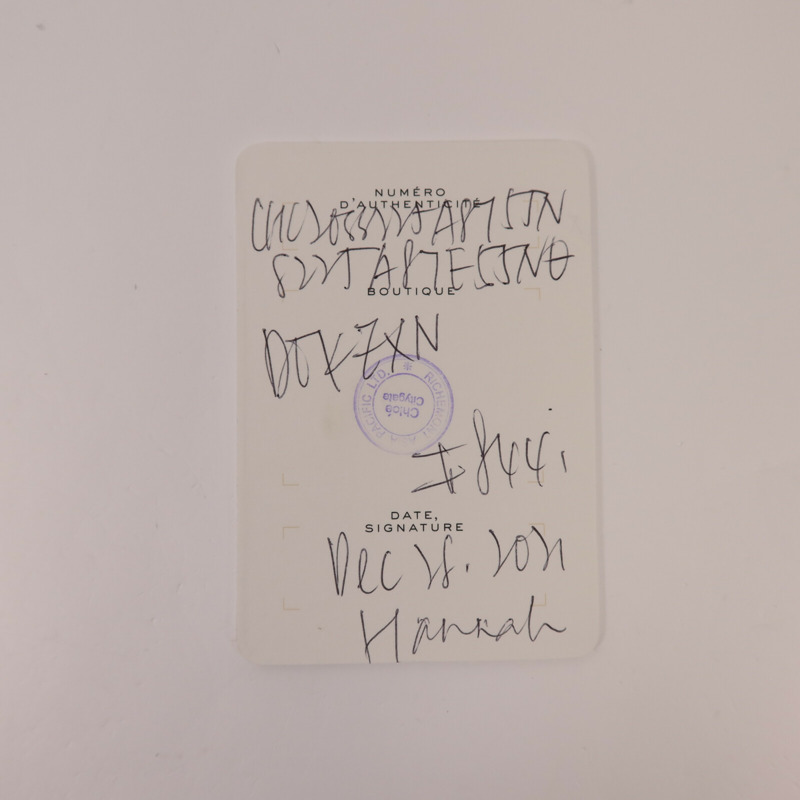 Chloe 牛皮皮革Mini C Bag金扣鏈帶手挽肩背兩用袋-10