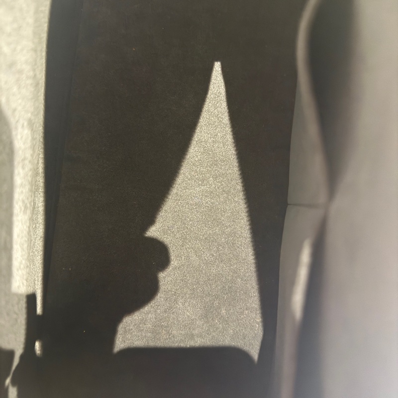 Lv 路易威登 黑色水波紋貝殼中號貝殼包 附件:塵袋 缺鑰匙-6