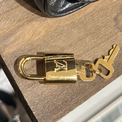 LV 老花 Speedy 20 芯片款-6