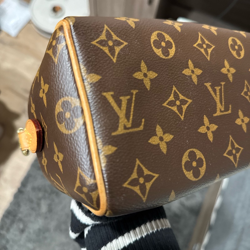 LV 老花 Speedy 20 芯片款-10