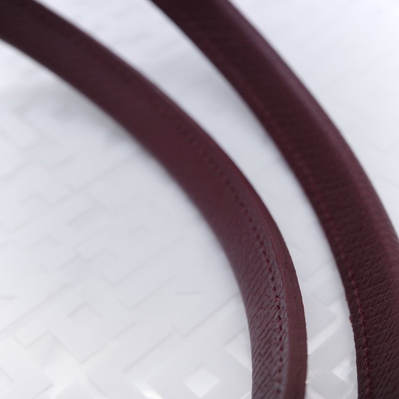 Longchamp 瓏驤 Le Pliage Green L 經典石榴紅 長把尼龍托特包-8