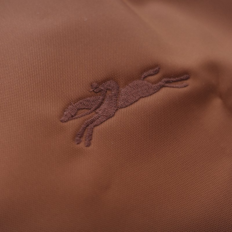 Longchamp 瓏驤 Le Pliage Green L褐色 尼龍 帆布摺疊 托特包-9