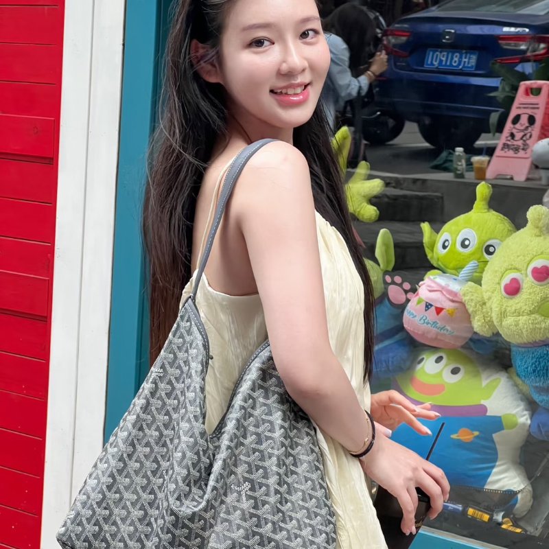 GOYARD Hobo流浪包 - 灰-12