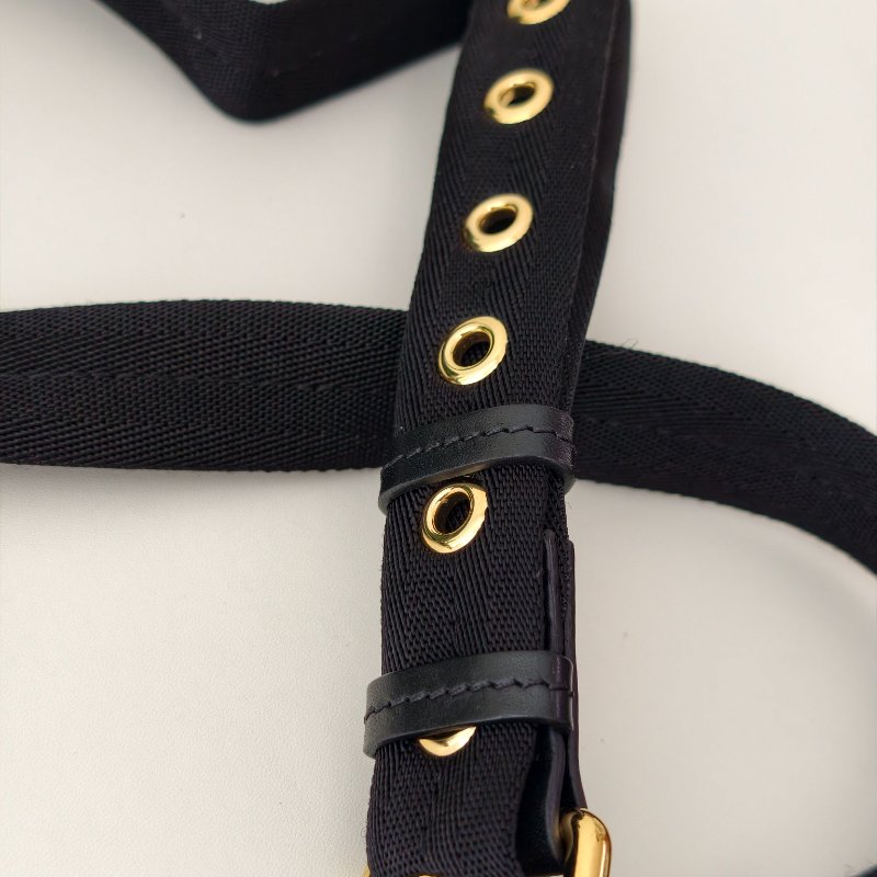 博柏利/Burberry 綠色尼龍雙肩背包 金色五金 尺寸:16*26*11cm 98新-14