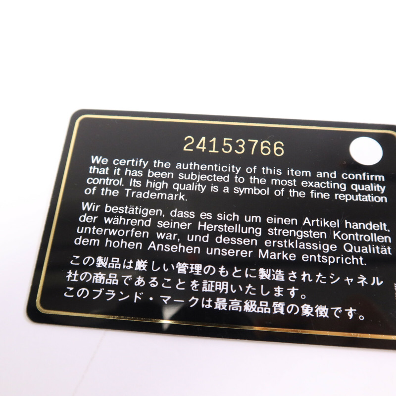 CHANEL 羊皮皮革Pouch銀扣手拿包-12