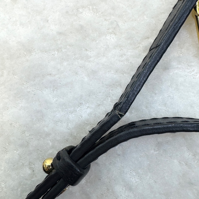 路易威登新款小書包LV原花Palm Springs Mini 迷你後背包M44873-22