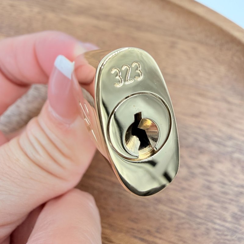 Louis Vuitton -黑色牛皮金釦原花雙耳Express波士頓包╻PM-37