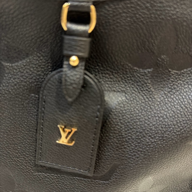 【全新現貨】LV CarryAll PM 黑色壓紋全皮革 Empreinte (附 2025 維也納購證)-3