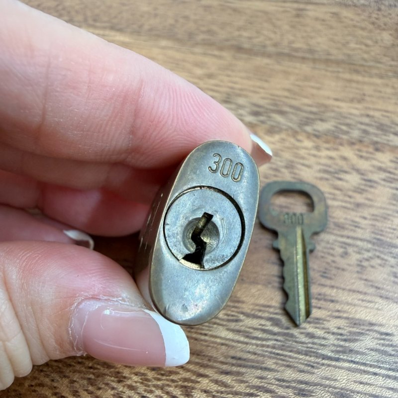 Louis Vuitton -原花Speedy Bandoulière手提肩背包 ╻25cm-39