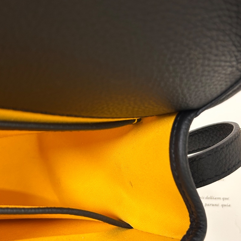 Goyard Belvedere PM 郵差包 2024年-25