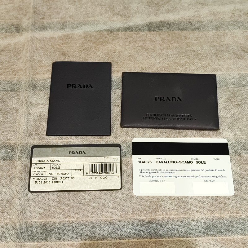 Prada 2 Way Hand Bag-19