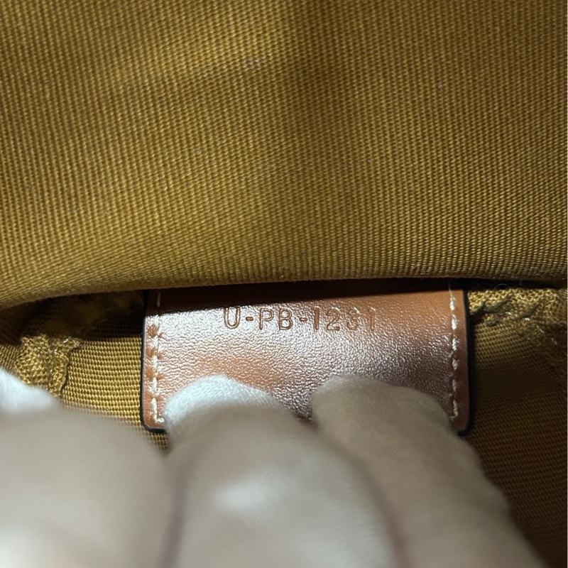 【99新】 CELINE 凱旋門刺繡nano speedy 手提包斜挎包-8