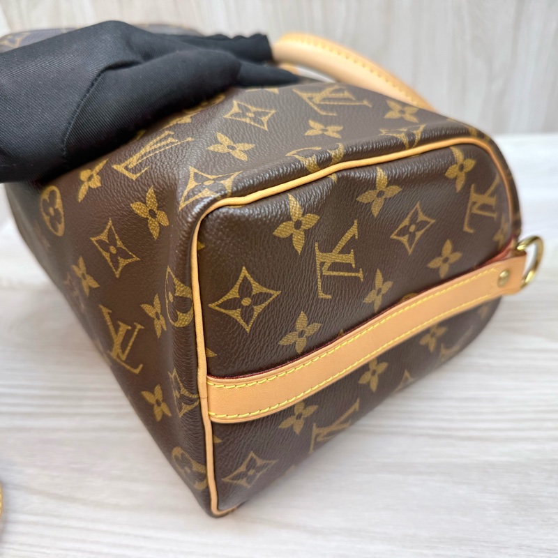 LV原花Speedy25波士頓包M41113-17