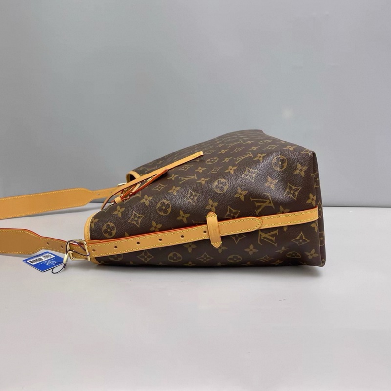 LV路易威登 Carryall中號老花子母包 芯片-1